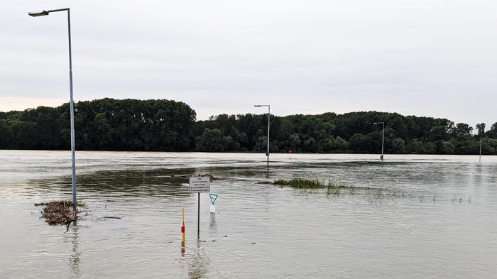 Flood on the Rhine (near Karlsruhe), 02.06.24.